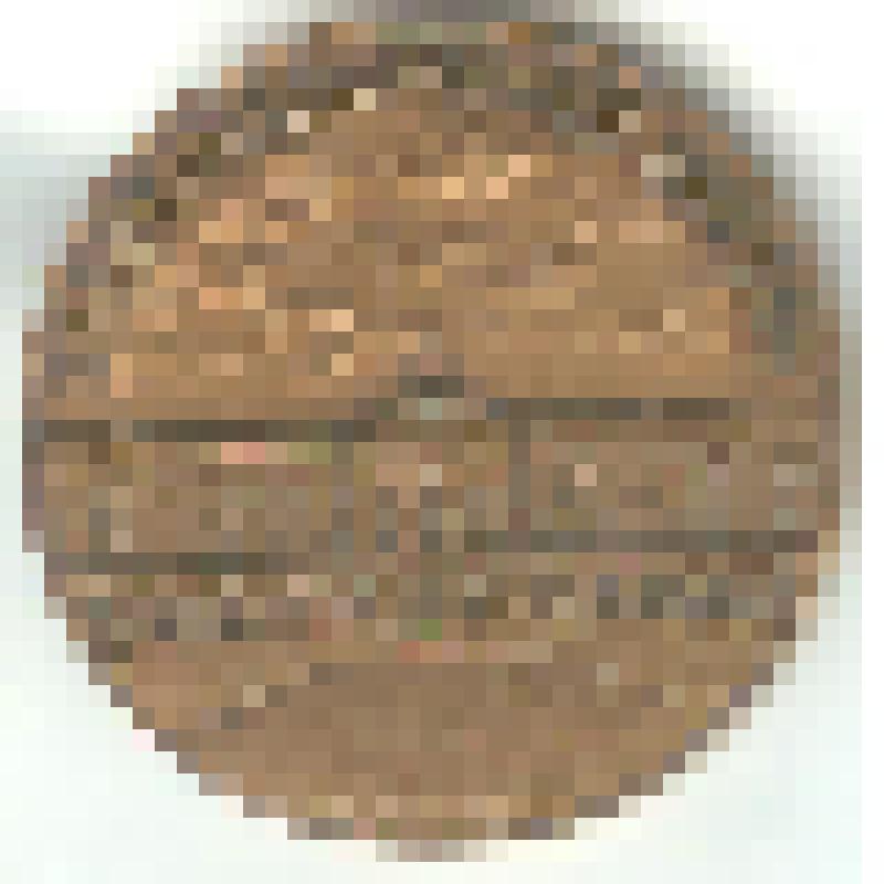 Медаль памятная настольная "Константиновкий дворец"