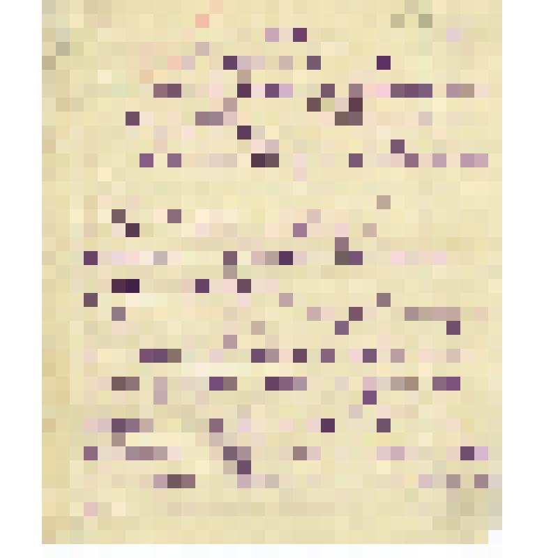 Письмо И. Шестопалова, председателя Субботинского сельсовета, Шушенского района, Н.К. Обухову с воспоминаниями оставшихся в живых партизан, опровергающих ложь Солдатова