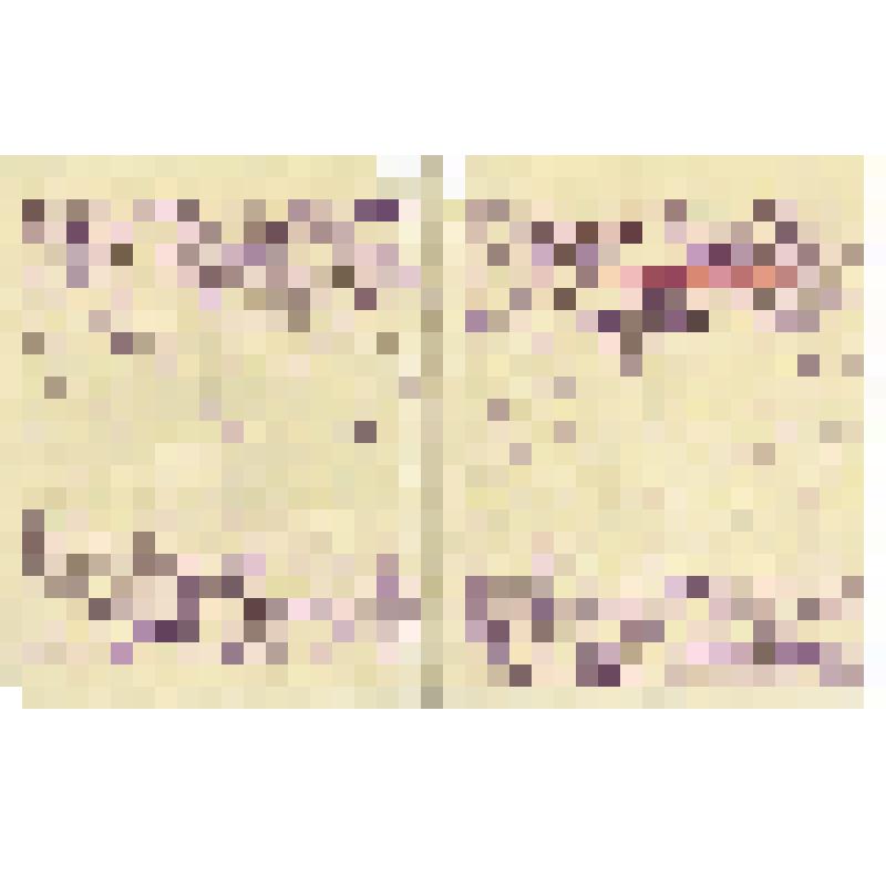 Письмо И. Шестопалова, председателя Субботинского сельсовета, Шушенского района, Н.К. Обухову с воспоминаниями оставшихся в живых партизан, опровергающих ложь Солдатова