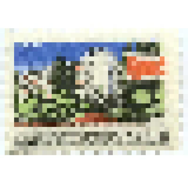 Марка почтовая. "Туризм в СССР. Туристический комплекс "Сочи". 16 копеек