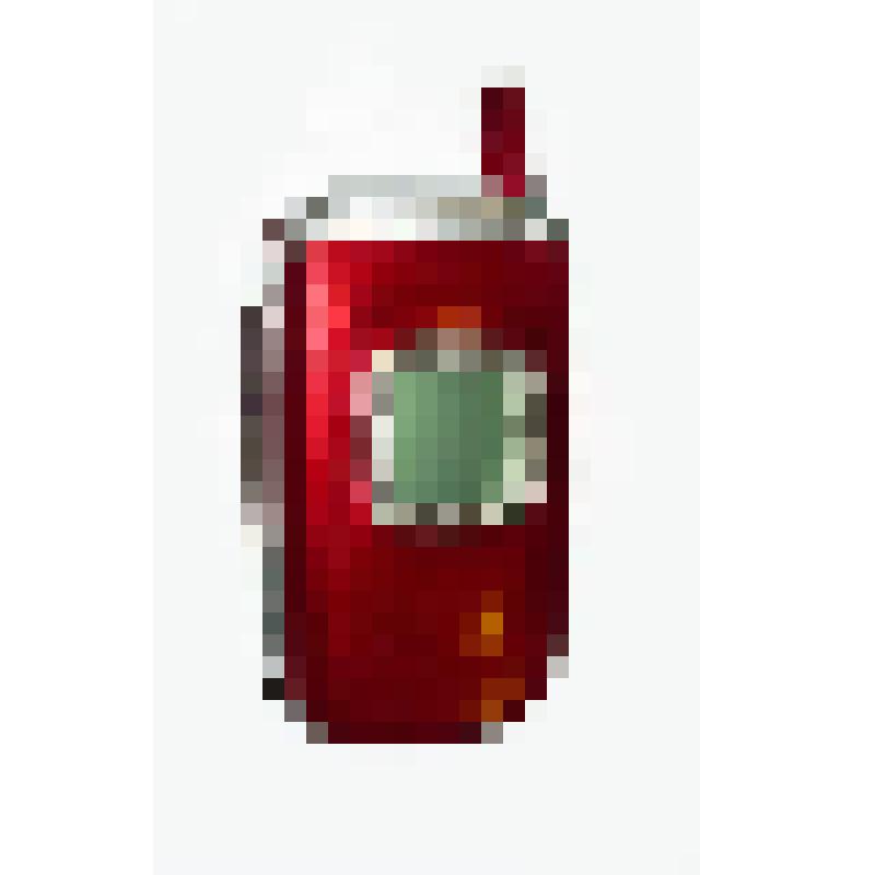 Телефон мобильный Samsung SGH-T500