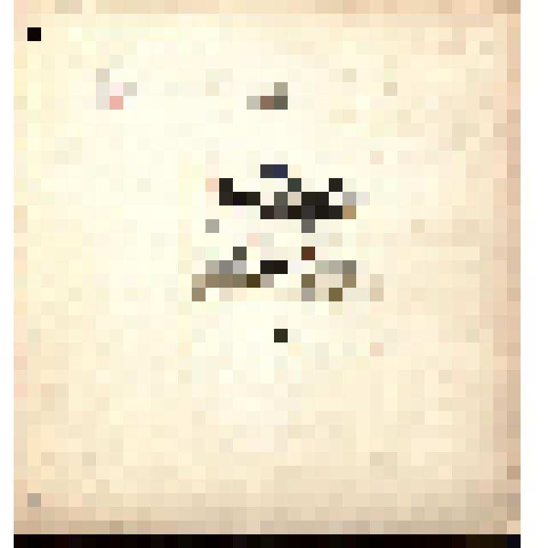 Титульный лист альбома. Из альбома «Рисунки с русских набоек, собранных И.А.Гальнбек». Часть 2