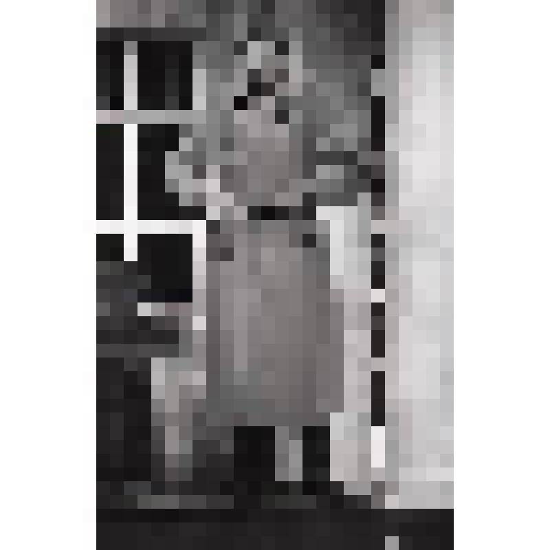 Негатив черно-белый. Родэ - Давыдов А.В. "Три сестры" (1997 - 2003)