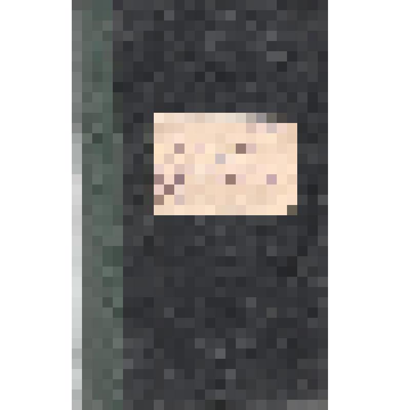 Журнал. Русская старина. Ежемесячное историческое издание. № 1. Январь. СПб.: Типография В.С. Балашева, 1877