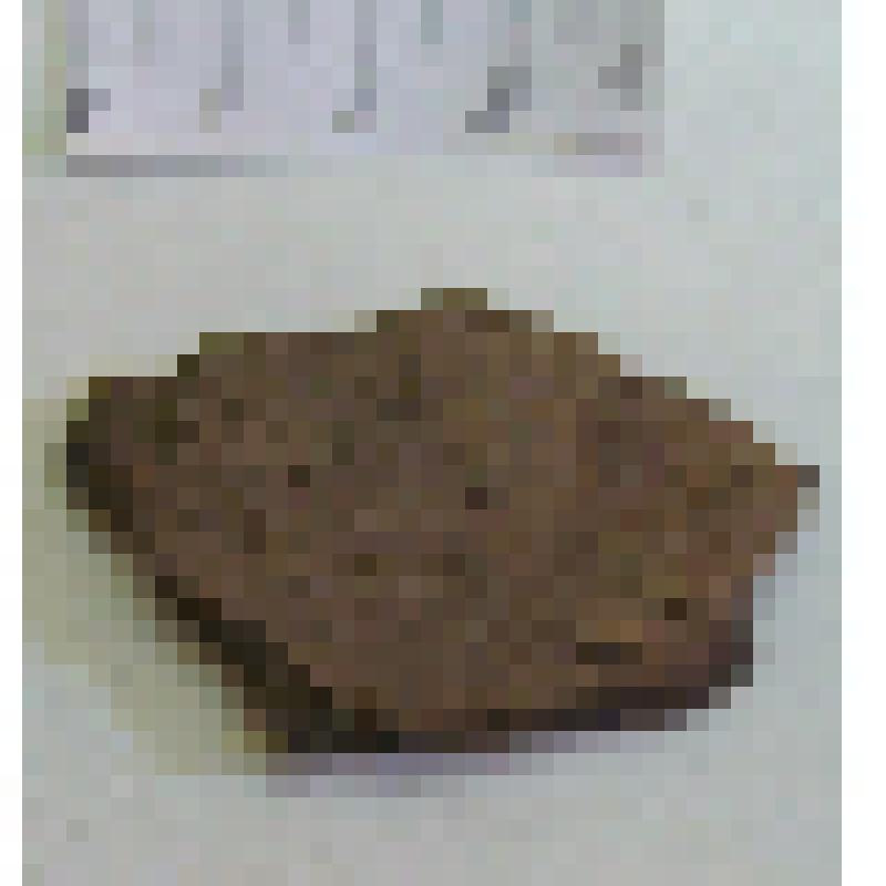 Фрагмент стенки лепного сосуда