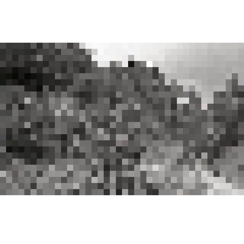 негатив. Дорога, спускающаяся к Калининградскому заливу