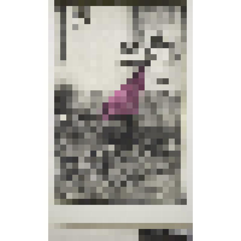 Бабушкина, 37