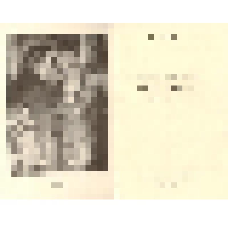 брошюра. Проспект "Максимов"  А. Леонов