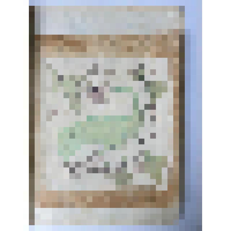 Альбом с проектными чертежами, с эскизами, зарисовками архитектурных памятников и деталей, произведений скульптуры и декоративно-прикладного искусства, пейзажными зарисовками, тематическими рисунками исторического жанра и по мотивам воспоминаний детства и