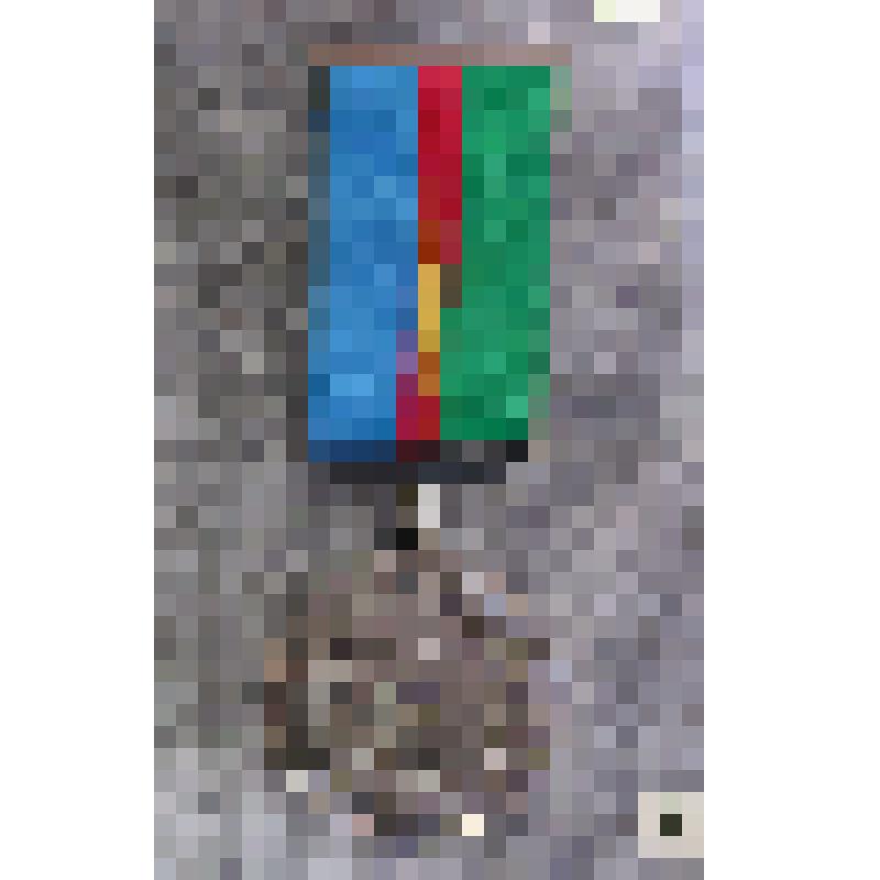 Медаль «За вклад в развитие военной психологии» Ульяниной О.А., начальника отделения психологического обеспечения ВА МВД России