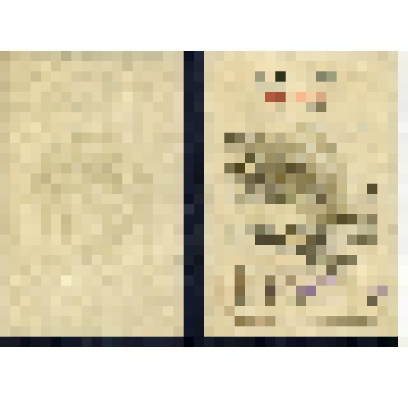 Диплом с отличием Б № 031480 Г. А. Васильева об окончании Пензенского индустриального института. ( с вкладышем)