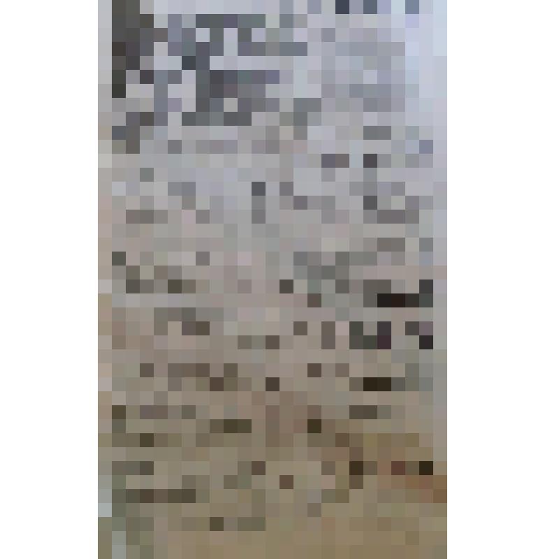 Газета "Прикамская жизнь" за 1916 год. №40 за  19.02.1916 г