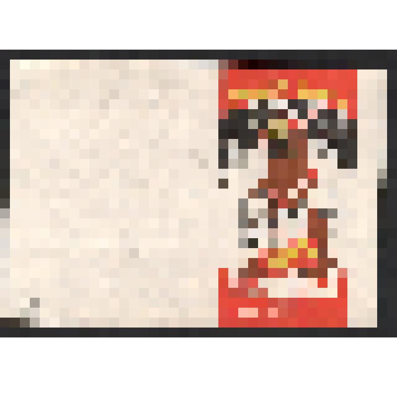 Образец приглашения на представление Астраханского государственного цирка