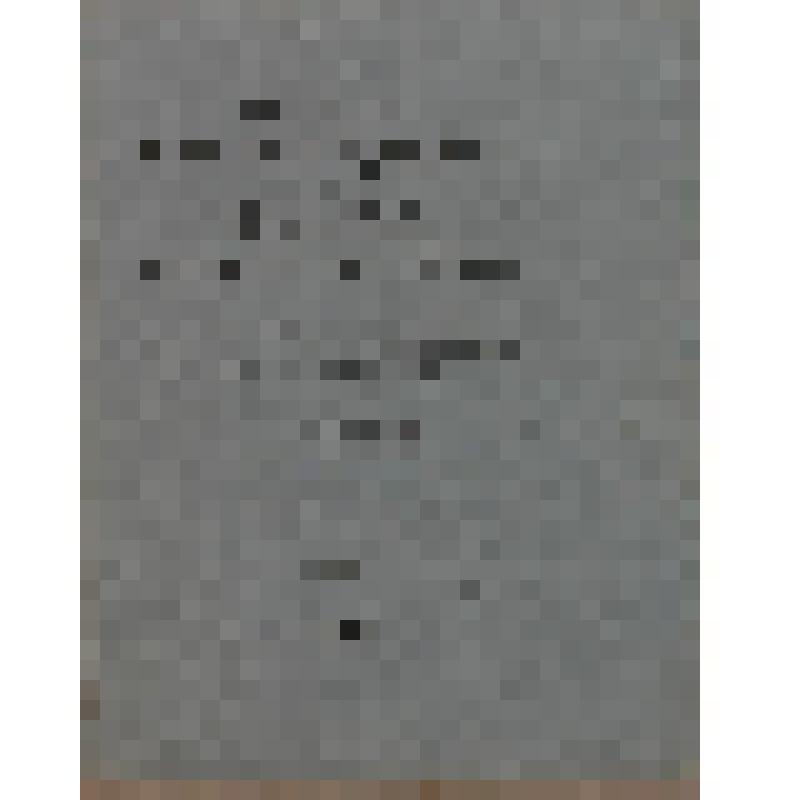 Книга. Вып. 136. Тетрадь 32-я. Генерал-лейтенант А. П. Засс. Император Александр I й и его сподвижники в 1812, 1813, 1814, 1815 годах. Военная галерея Зимнего Дворца / Издаваемая с Высочайшего соизволения и посвященная Его Императорскому Величеству Госуда