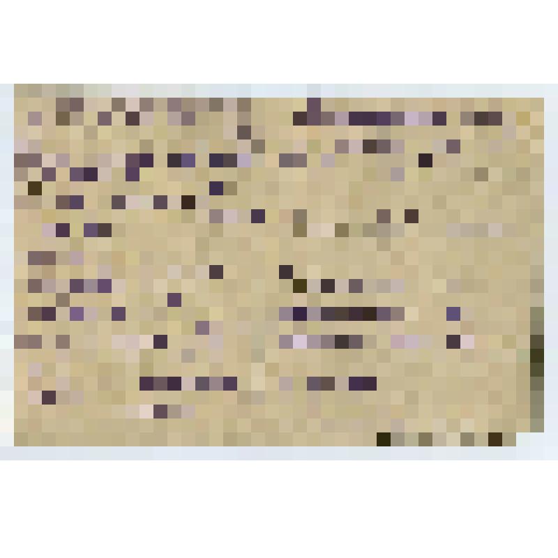 Письмо открытое. с Новым годом Барановой Г.Н. от Рябовой Раисы