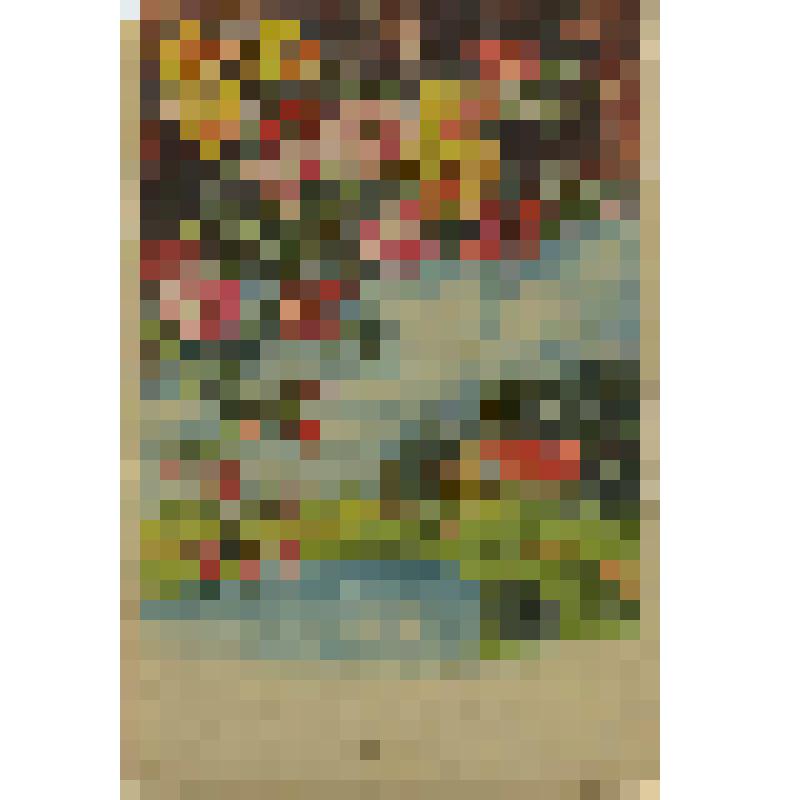 Письмо открытое. с Новым годом Барановой Г.Н. от Рябовой Раисы