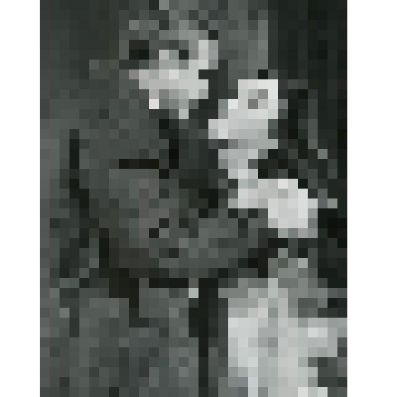 Фотография. Сцена: Мефодьев - Л. Марков - стоит, победренно, в профиль влево, в правой руке кепка, руками держит за плечи Глашу - Ванюшкина - стоит, победренно, почти в профиль вправо, в светлом платье. "Мое сердце с тобой". Москва, Театр им. Моссовета