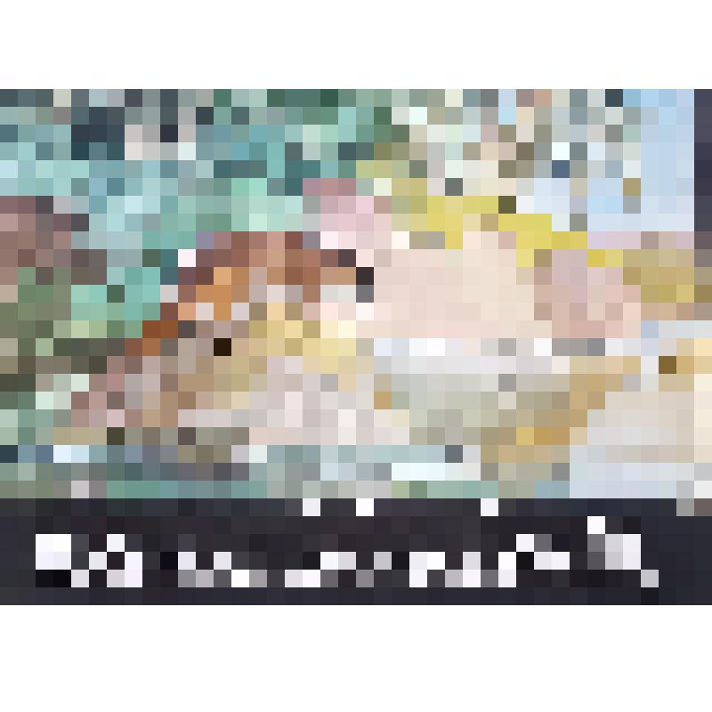 эскиз кадра к макету диафильма. Лист №12: Знакомство с утконосом
Фильм: Кто мёртвый кусается. 1980