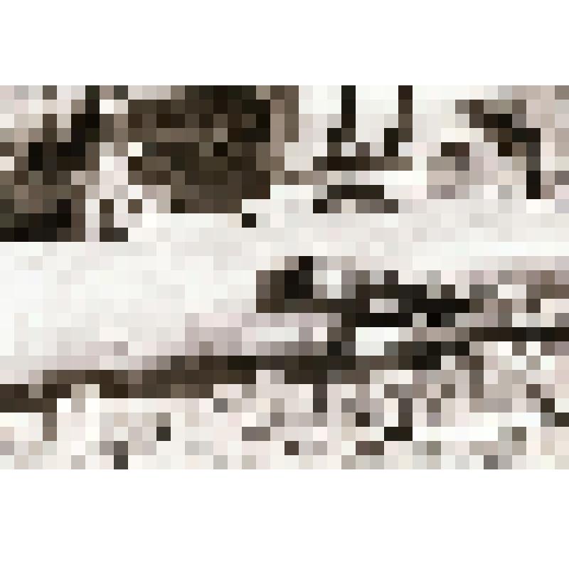 Фотонегатив  сюжетный. Полигон у с. Бельго для подготовки дюкера к спуску в реку Амур