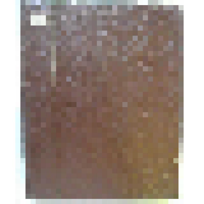 Срезневский И.И. Материалы для словаря древне-русского языка по письменным памятникам.  Т. 3. Вып.I. Р - Степ. - СПб.:Типография Императорской Академии наук, 1903. - 1683 стб.,  271 стб., 13 с