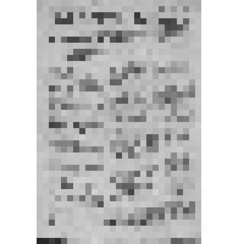 Газета «За честь Родины» № 165 (513). 1 июля 1943 г