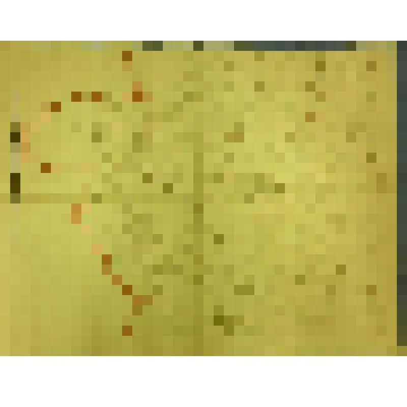 План Обоянского уезда за 1908 г. (На 9 сборных листах). Лист 3.
СПБ. Картографический зав. т-ва "Ш. Буссель Н-ки", 1908 г