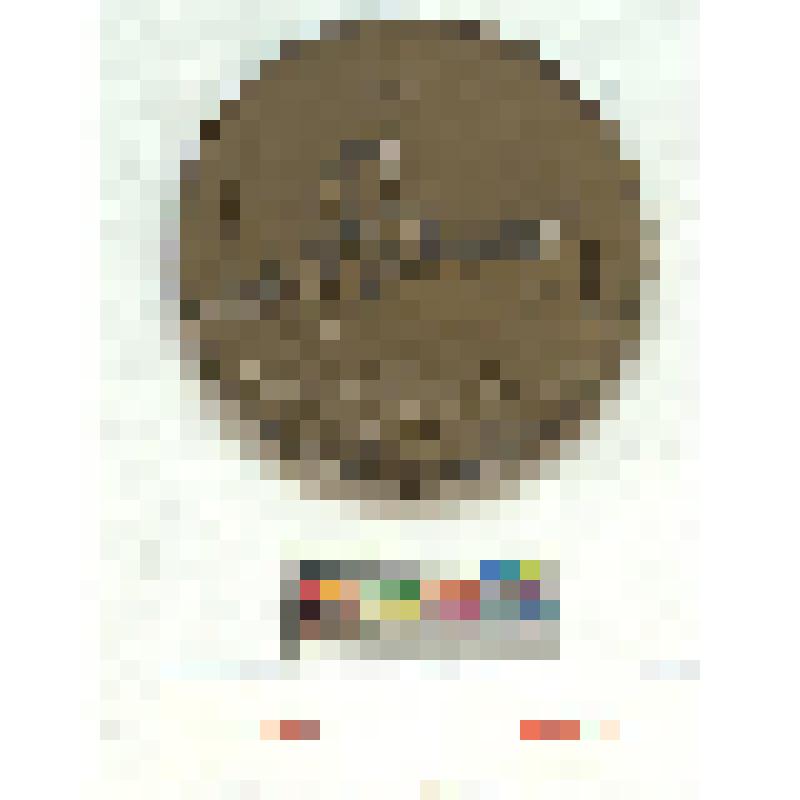 СССР. Мемориальная медаль "Аврора"