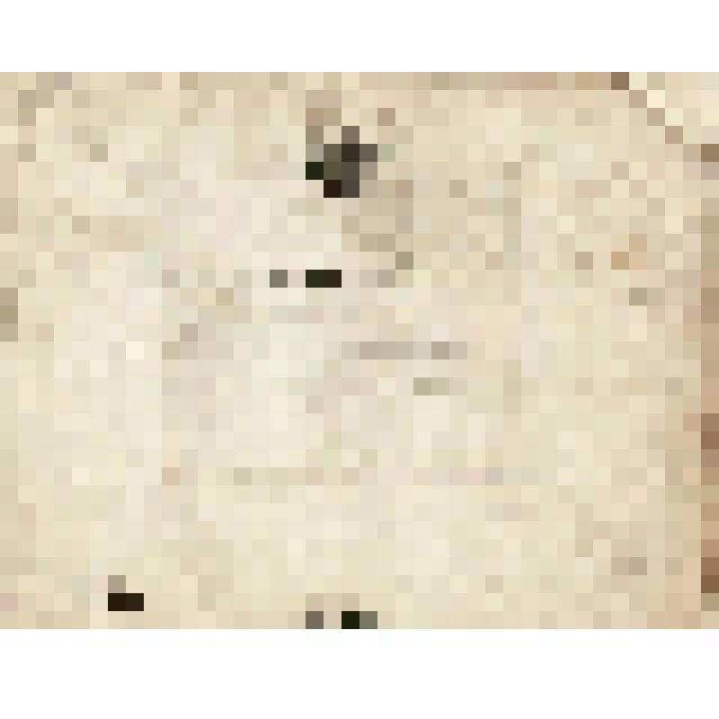 Телеграмма № 1872 в г. Чердынь В. Н.Алину от Боровских из г. Уфы, 29.11.1890 г