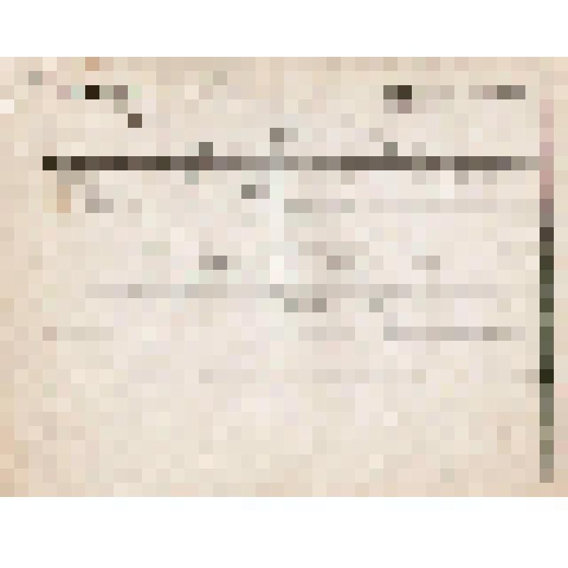 Телеграмма № 1872 в г. Чердынь В. Н.Алину от Боровских из г. Уфы, 29.11.1890 г