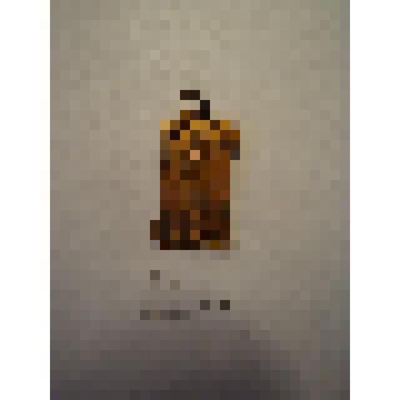 Жетон с изображением Л.Н.Толстого