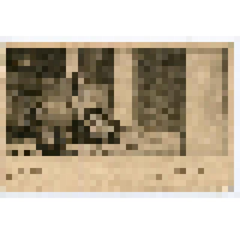 Карточка почтовая. "Продавщица амулетов"