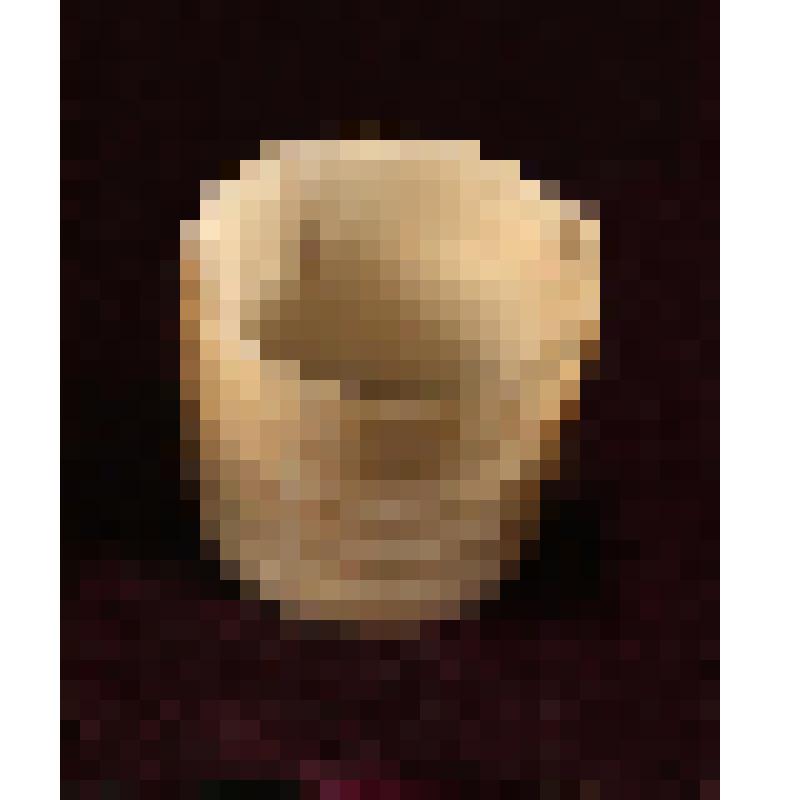 Коробка с костяными бирюльками: кадка