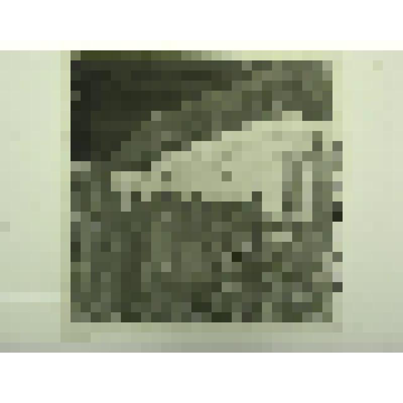 Дом Н.М.Беспалова. Ул. Привокзальная, 29. кон.XIX-нач.ХХ вв. Челябинская  обл., г. Карабаш, пос. Южный (с.Саймоновское). Дом Н.М.Беспалова. Ул. Привокзальная, 29. кон.XIX-нач.ХХ вв. Служебные постройки по южной и восточной границам усадьбы. Вид на южный ф