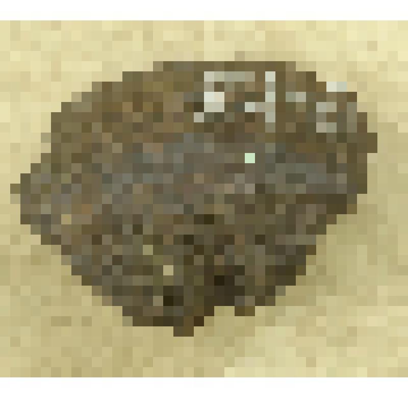 Осколок арт.-, авиабоеприпаса с Мамаева кургана г. Сталинграда