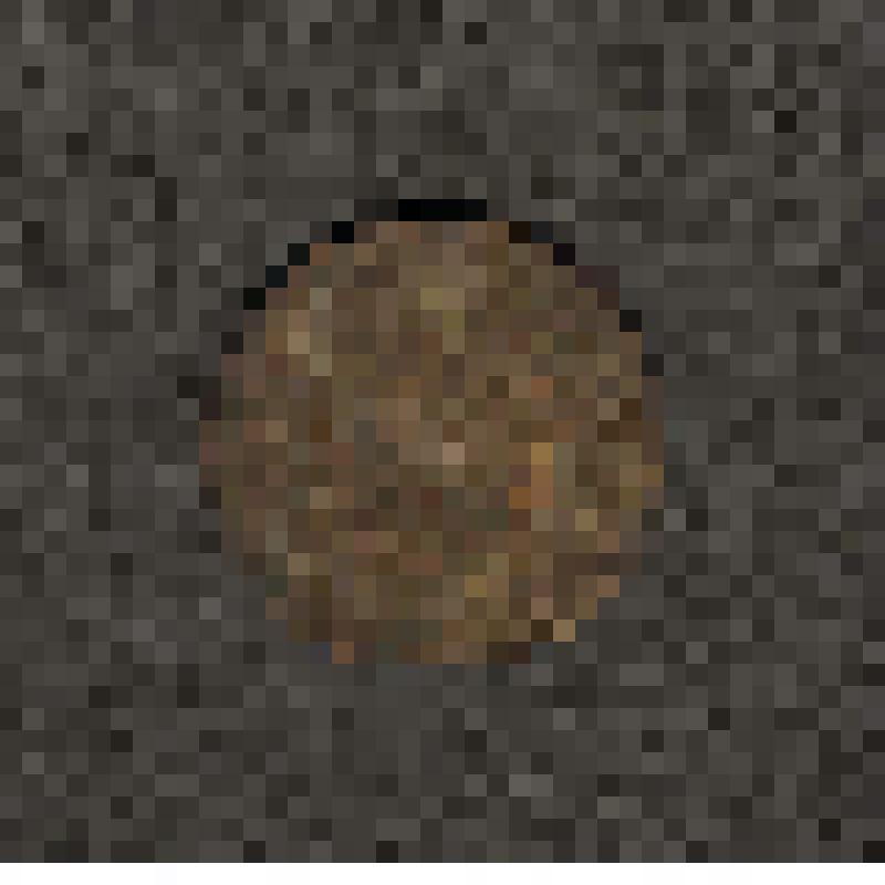 Монета. 10 копеек. СССР страна