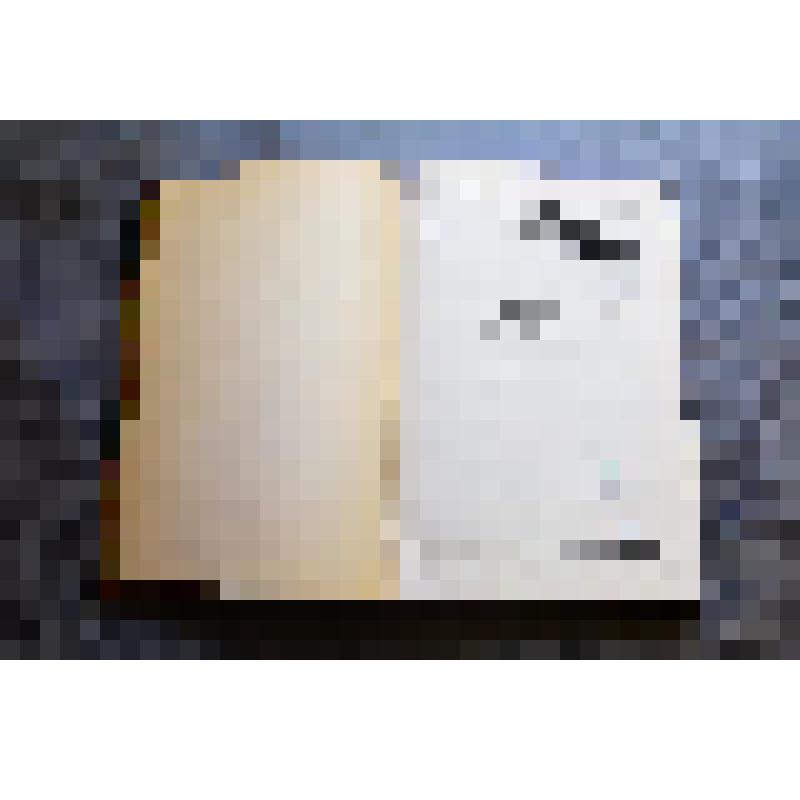Книга. Большая советская энциклопедия. Том XLIX. Робер - Ручная граната. Москва. 16-я типография треста "Полиграфкнига". Издательство государственного института "Советская энциклопедия". 1941 г
