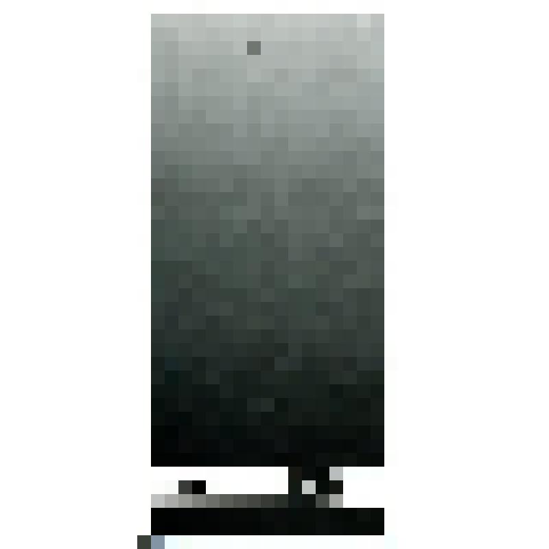 Буклет. Программа к спектаклю «Сергей Есенин», режиссер В. Витько. Омский государственный драматический театр «Галерка»