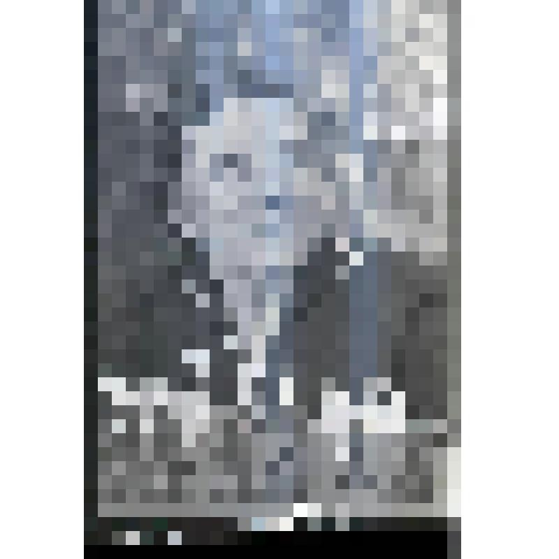 Негатив. Заслуженный учитель школы РСФСР Ольга Ивановна Стрелова