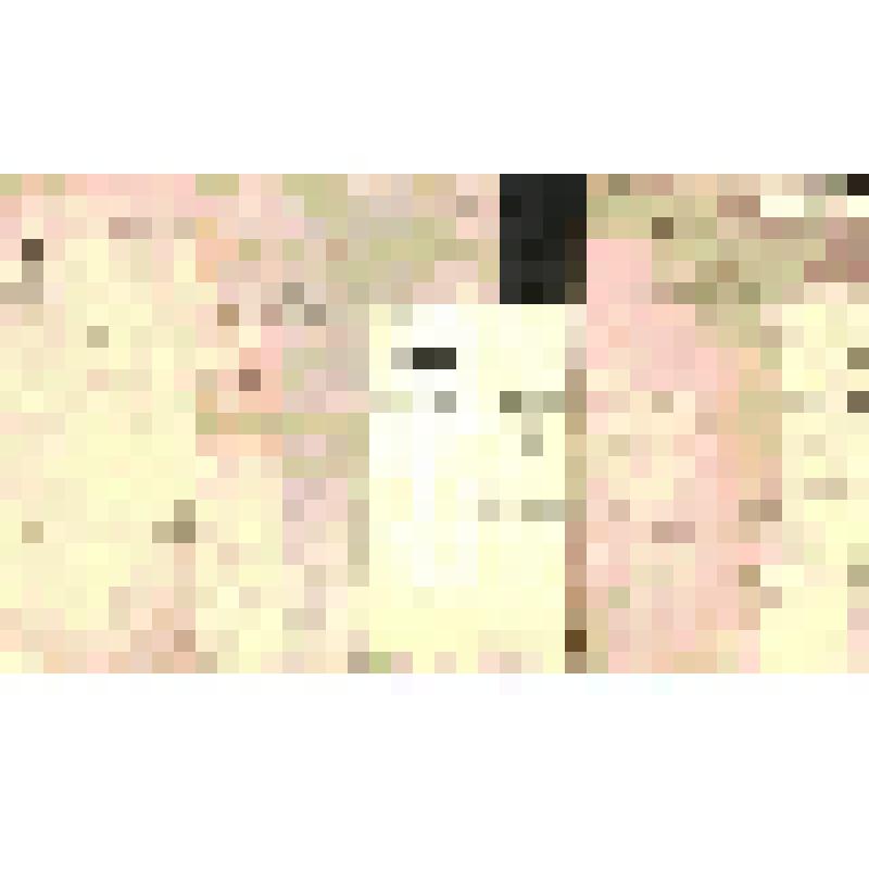 Фонд № 5 «Фонд Оболенских». Дело № 3.Переписка официальная