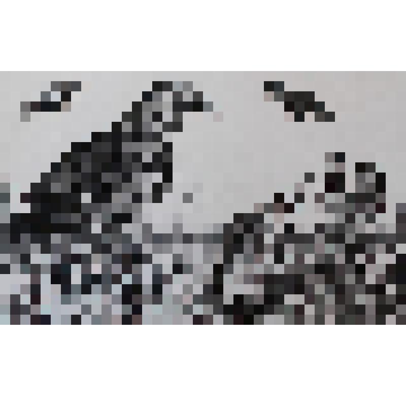 Охотник и орлы -великаны иллюстрация к эскимосской сказке