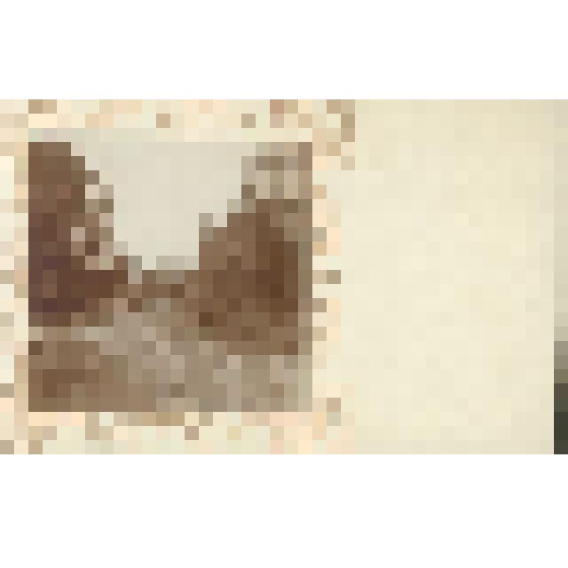 Фотография. Пейзаж. У Олхи