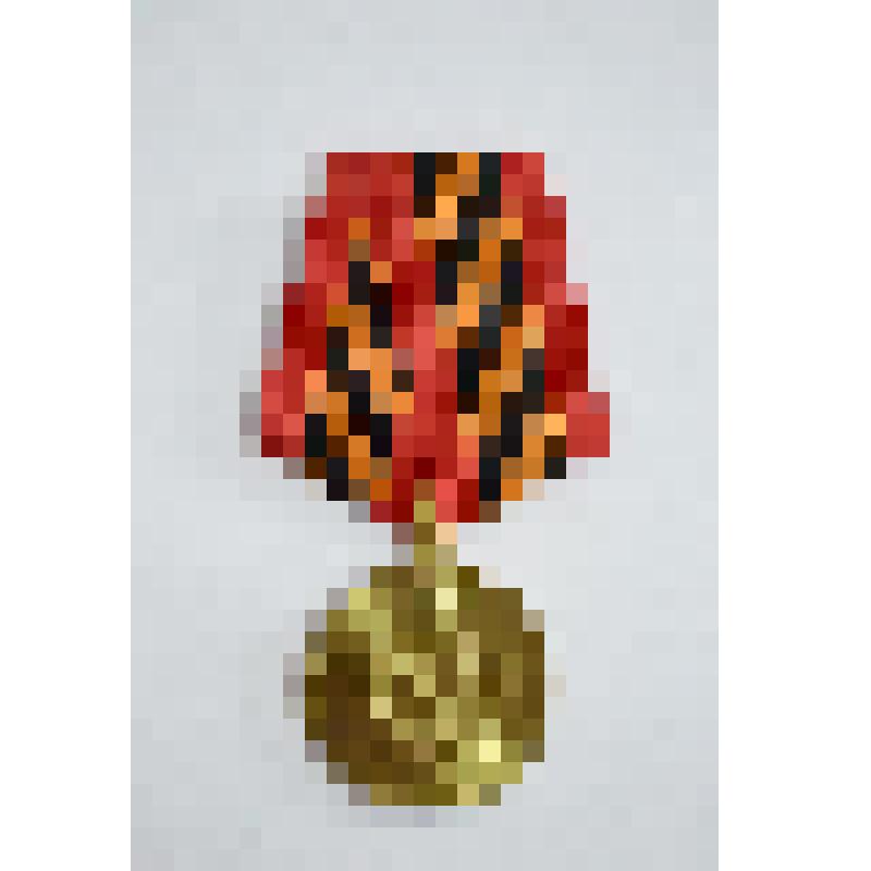 Медаль. "65 лет Победы в Великой Отечественной войне 1941-1945 гг."