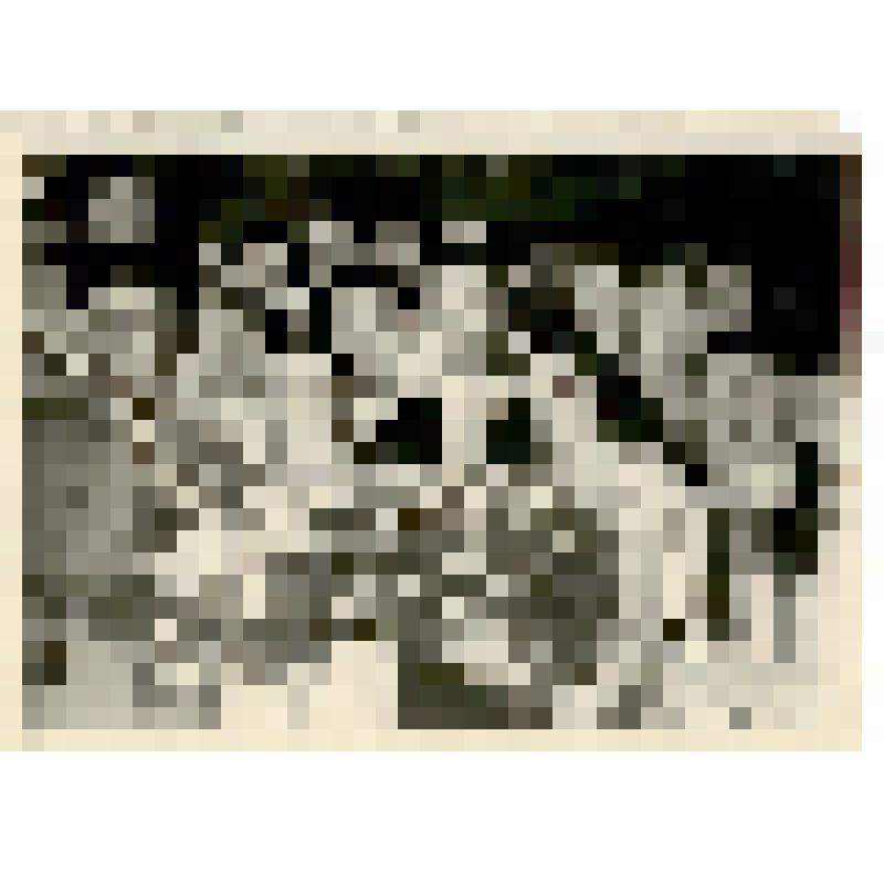 Фотография. Филиппова Евгения Ивановна c труппой и представителем Венгерского посольства, после балета «Платочек»