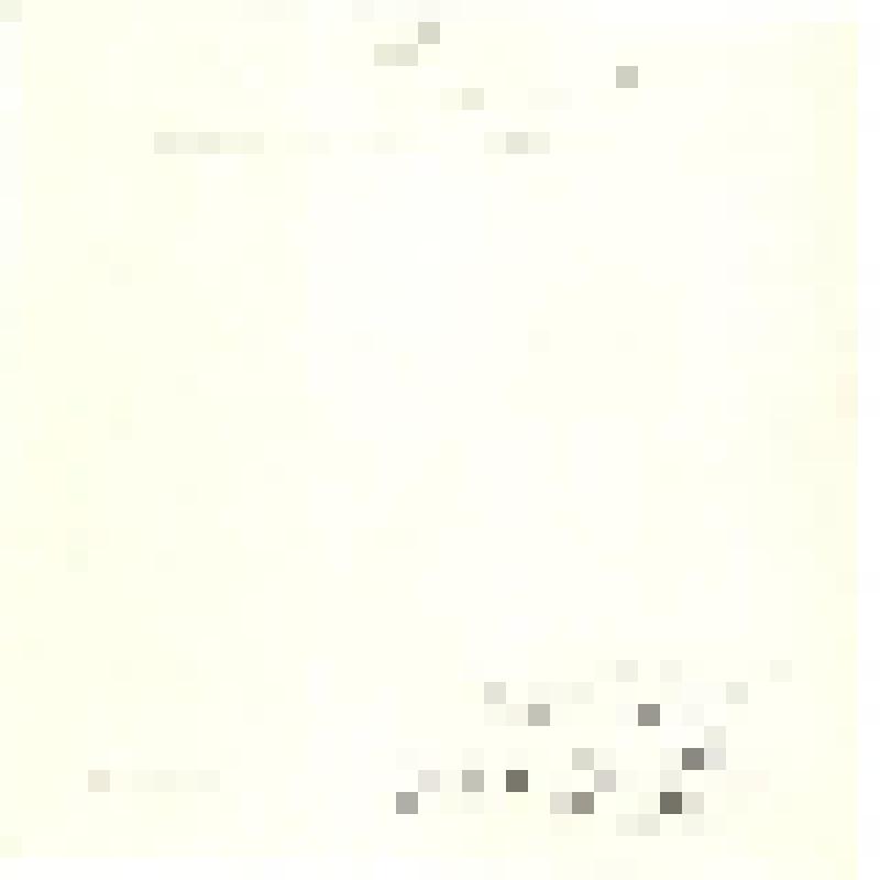 Фотография. Входные ворота Никольского собора в Новой Ладоге