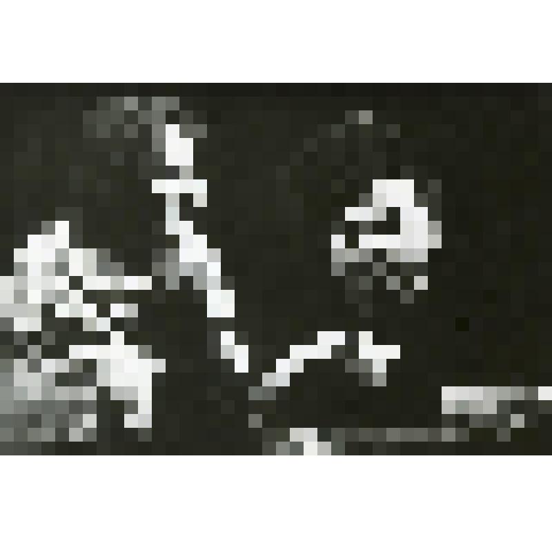 Фотография. Г.А. Орлова - Фаина, Б.В. Владимирский - Корнеев. Погрудно, она 3/4 влево повернулась к нему, рот открыт. "Веселый тракт" (пост. В. Раевский, худ. А. Григорьянц.). Белоруссия, Белорусский государственный академический драматический театр им. Я