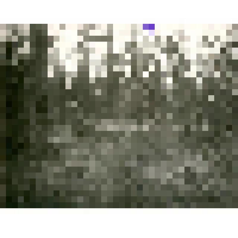 Фотография. Могила вблизи р. Улья