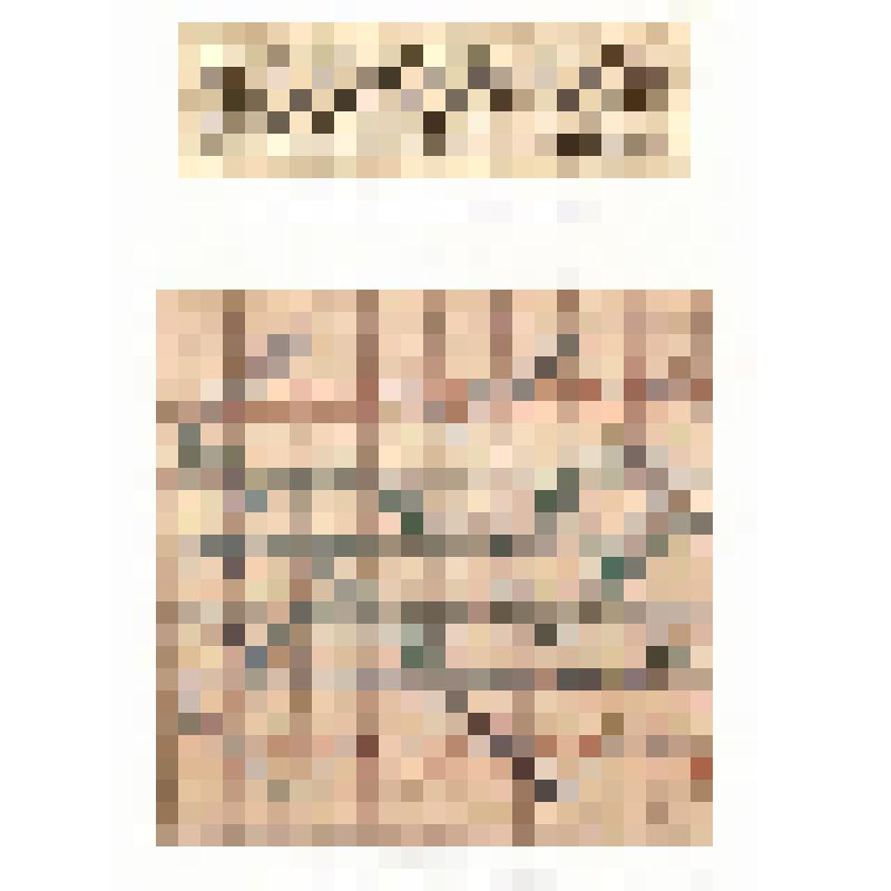 Рисунки фрагментов чертежей машинного кружева. Из альбома зарисовок машинного кружева