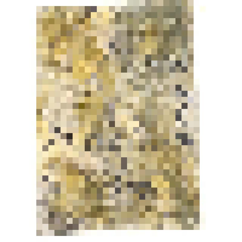 Фотопортрет. Гамалей Борис Викторович