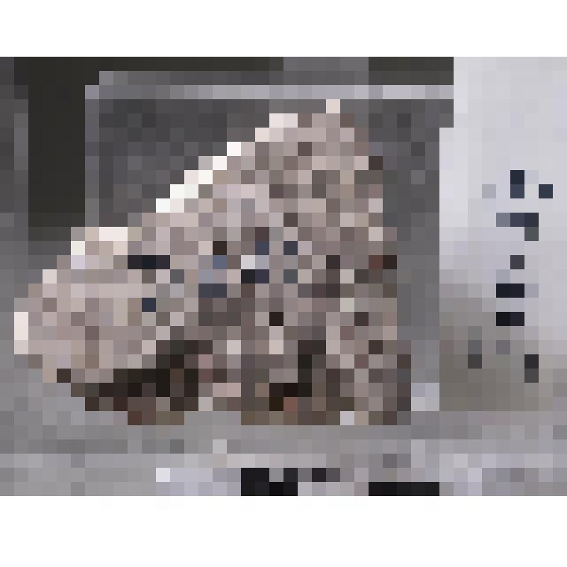 Фрагмент белого  мозаичного пола