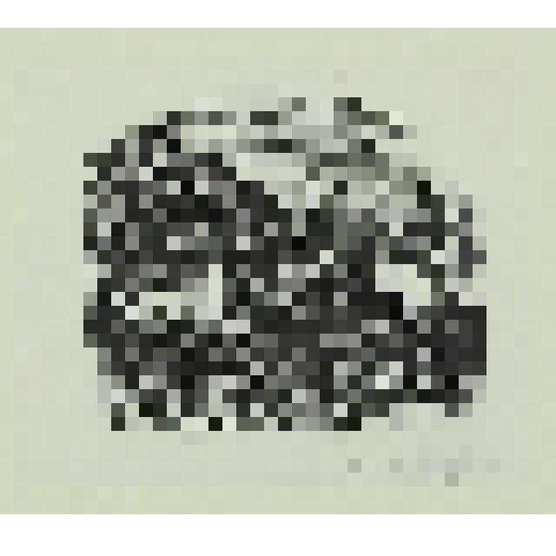 Иллюстрация к "Евгению Онегину" А. С. Пушкина. гравюра